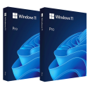 Windows 11 Professional 2PC