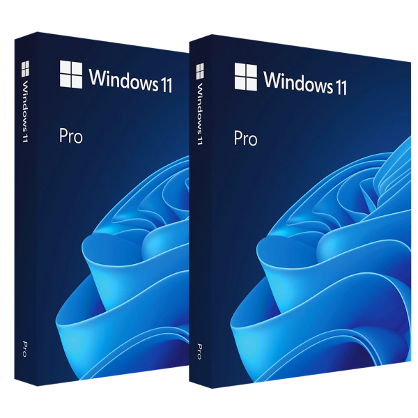 Windows 11 Professional 2PC